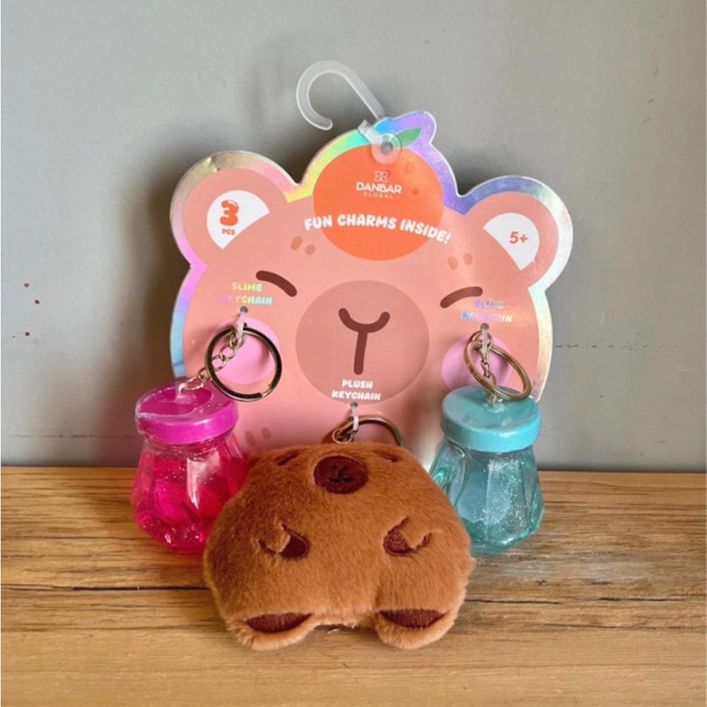 Set of 3 Capybara Charm KeyRings